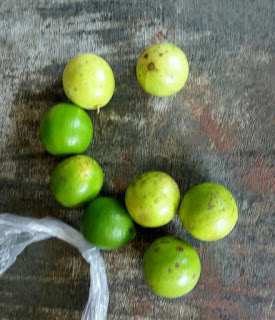 1st Outbound activity by Lemon entrepreneurs as Lemon Selling Project.